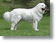 ciekawostka3