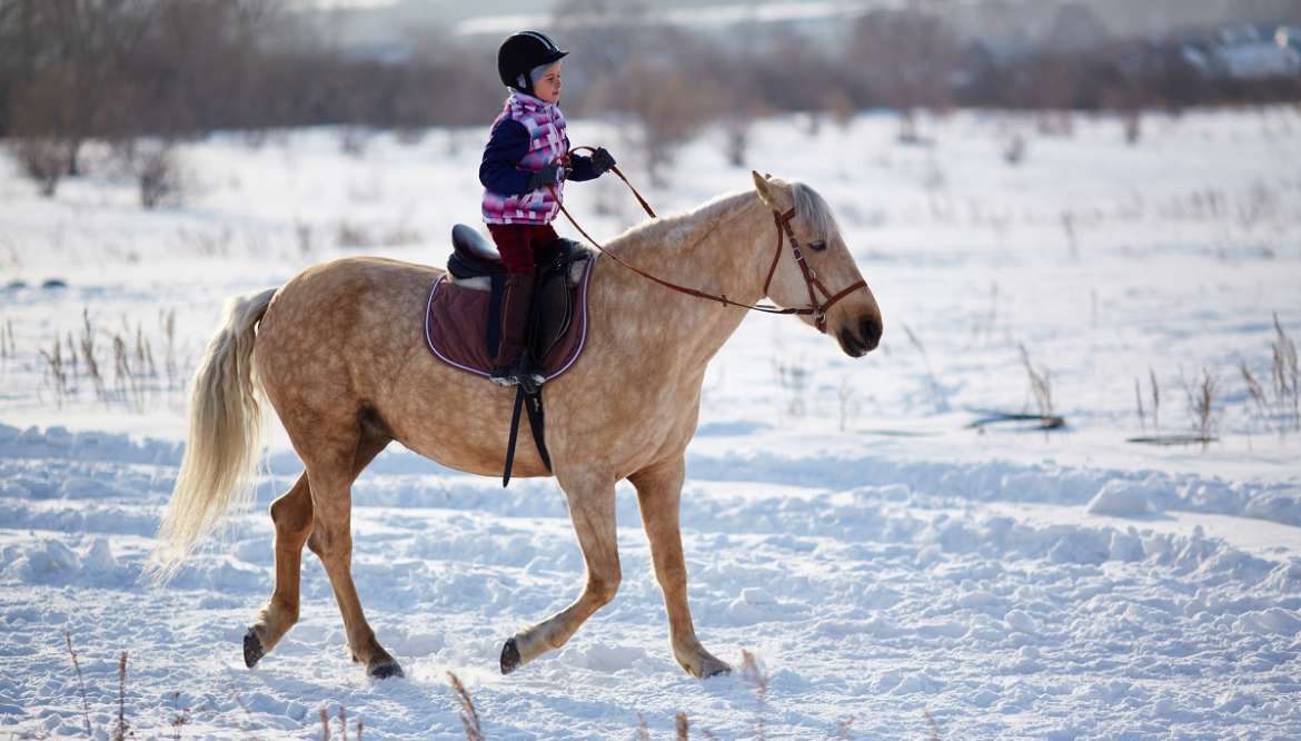 HORSE RIDING FOR CHILDREN ZAKOPANE