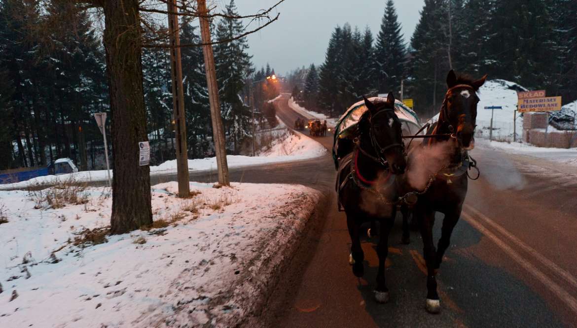 HORSE RIDES IN ZAKOPANE ATTRACTION FOR ADULTS AND CHILDREN