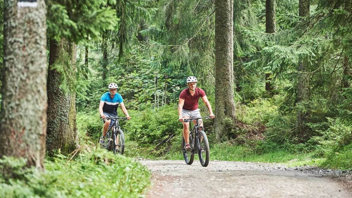 BIKEDOO – Wypożyczalnia Rowerów Elektrycznych w Zakopanem