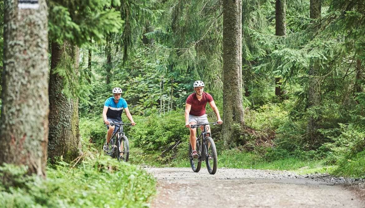 BIKEDOO – Wypożyczalnia Rowerów Elektrycznych w Zakopanem